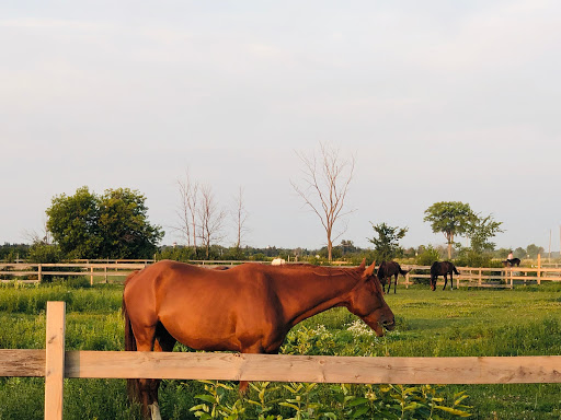 Outdoor equestrian facility Ottawa