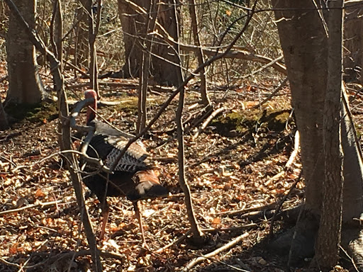 Supermarket «Super Stop & Shop», reviews and photos, 855 Bridgeport Ave, Milford, CT 06460, USA