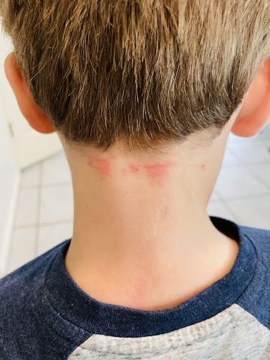 Hair Salon «Cookie Cutters Haircuts for Kids», reviews and photos, 535 W 400 N, Bountiful, UT 84010, USA