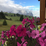 Photo n°2 de l'avis de Stefan.d fait le 25/09/2022 à 16:28 sur le  Hotel Steger-Dellai Seiser Alm à Alpe di Siusi
