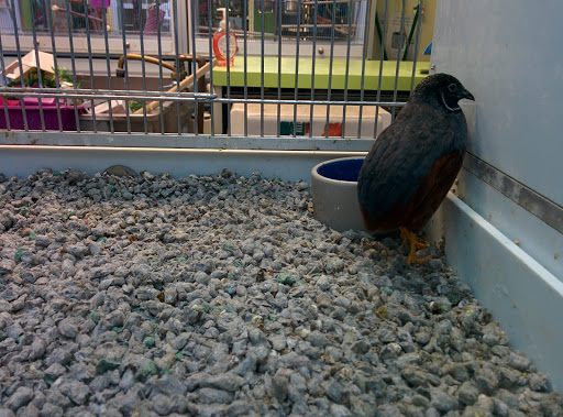 Pet Store «Animart», reviews and photos, 4303 E Towne Way, Madison, WI 53704, USA