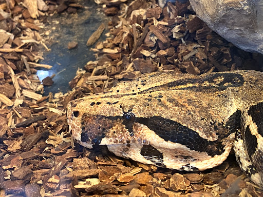 Harley-Davidson Dealer «Buddy Stubbs Anthem Harley-Davidson», reviews and photos, 41715 N 41st Dr, Anthem, AZ 85086, USA