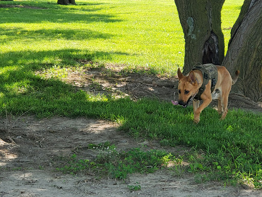 Fairground «Wayne County Fairgrounds», reviews and photos, 861 Salisbury Rd, Richmond, IN 47374, USA