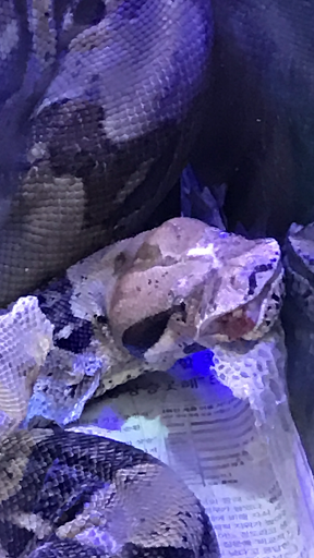 Pet Store «34 Pet Shop», reviews and photos, 3434 W Slauson Ave, Los Angeles, CA 90043, USA