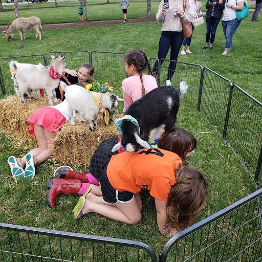 Pony Ride Service «Animals Unlimited LLC est 1996 travelling petting zoo/pony rides/travelling exotic animal programs .», reviews and photos, 16805 Mountain Rd, Montpelier, VA 23192, USA