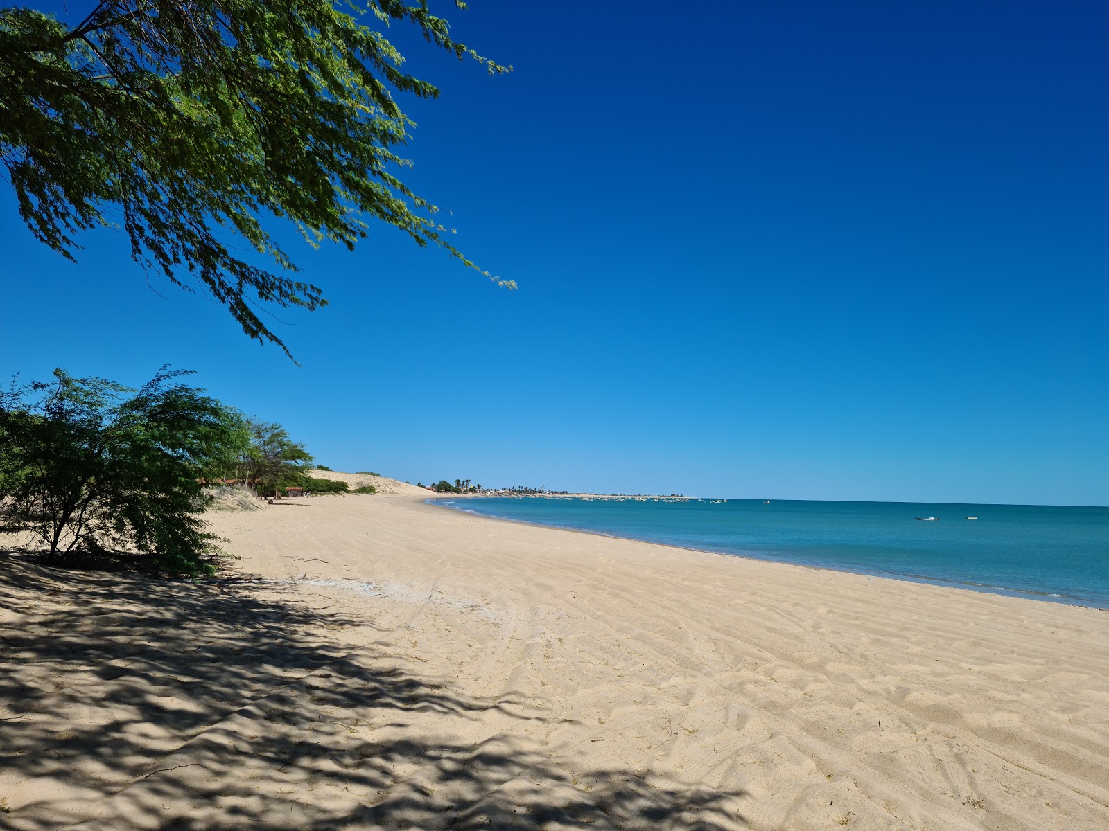 Fotografija Plaža Caicara z svetel fin pesek površino