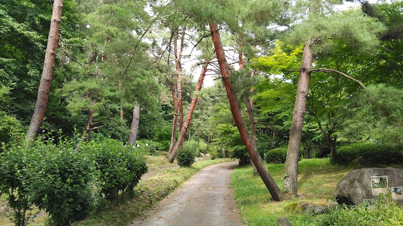 笠取峠の松並木