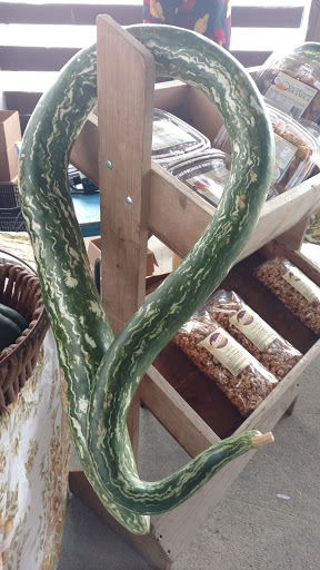 Fairground «Conservatory at the Sussex County Fairgrounds», reviews and photos, 37 Plains Rd, Augusta, NJ 07822, USA