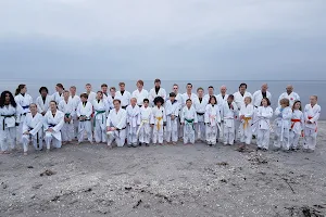 Aalborg Karate Skole image