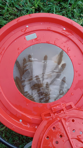 Pet Supply Store «Katz Pet Supplies», reviews and photos, 1123 Grand Army of the Republic Hwy, Somerset, MA 02725, USA