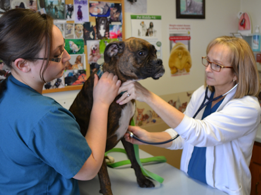 Peninsula Veterinary Hospital image