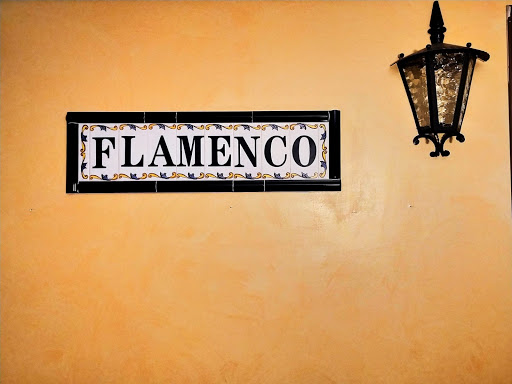 Imagen del negocio Escuela de Flamenco Diana Regaño en Villanueva de la Cañada, Madrid