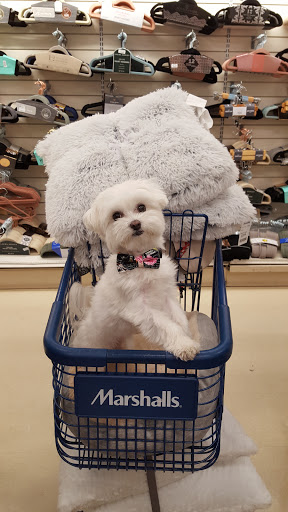 Department Store «Marshalls», reviews and photos, 1031 S Sutton Rd, Streamwood, IL 60107, USA