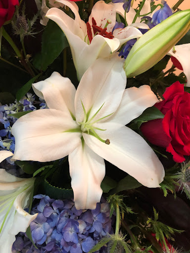 Florist «Mockingbird Lane Florist», reviews and photos, 5606 E Mockingbird Ln, Dallas, TX 75206, USA