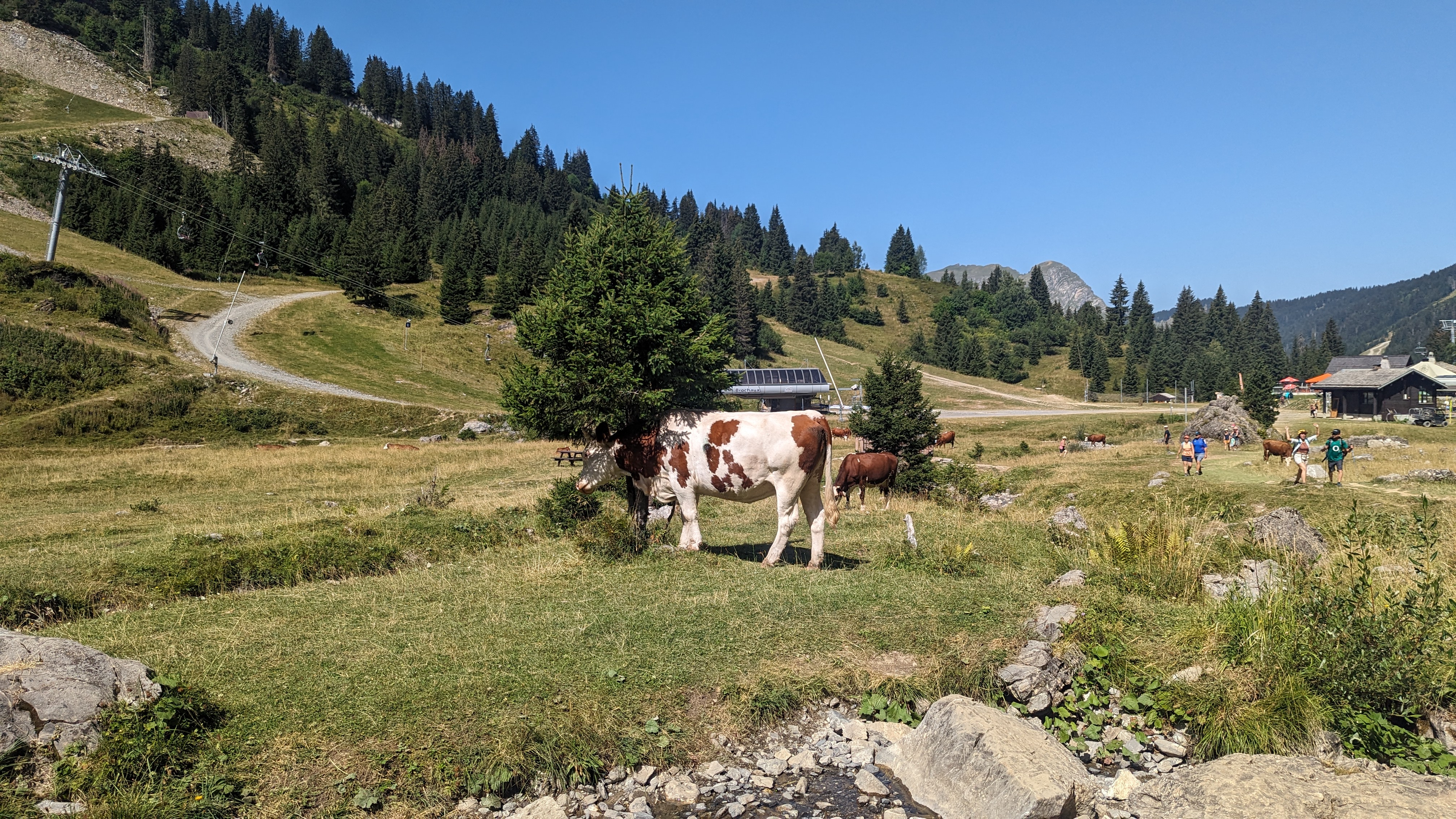 Photo n° 4 de l'avis de Ludmilla.e fait le 24/08/2023 à 12:51