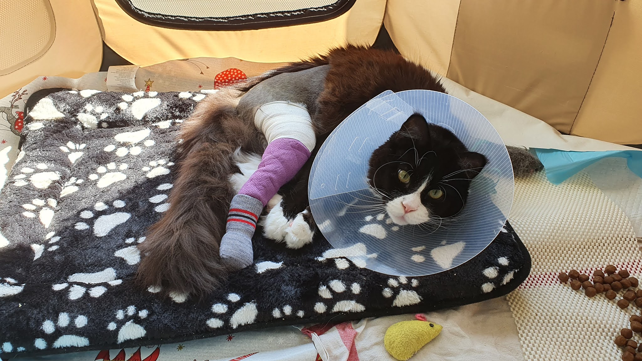 Photo n° 1 de l'avis de Sylvie.d fait le 27/05/2021 à 18:12