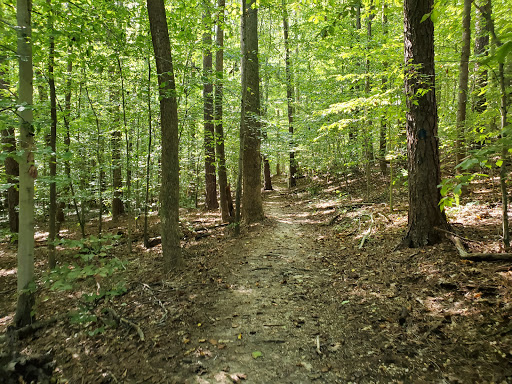 Park «Louise F Cosca Regional Park», reviews and photos, 11000 Thrift Rd, Clinton, MD 20735, USA