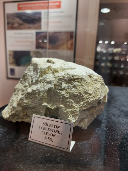 Mineral ve Fosil Müzesi