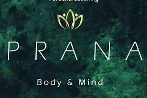 Prana body and mind image