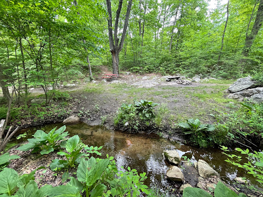 Campground «Toye Recreation Campground», reviews and photos, 7 Babtown Rd, Sussex, NJ 07461, USA