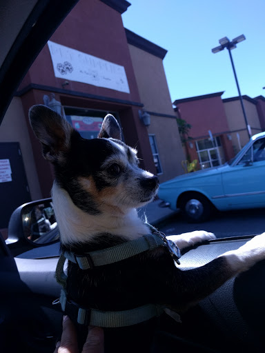 Primary Care Animal Hospital image