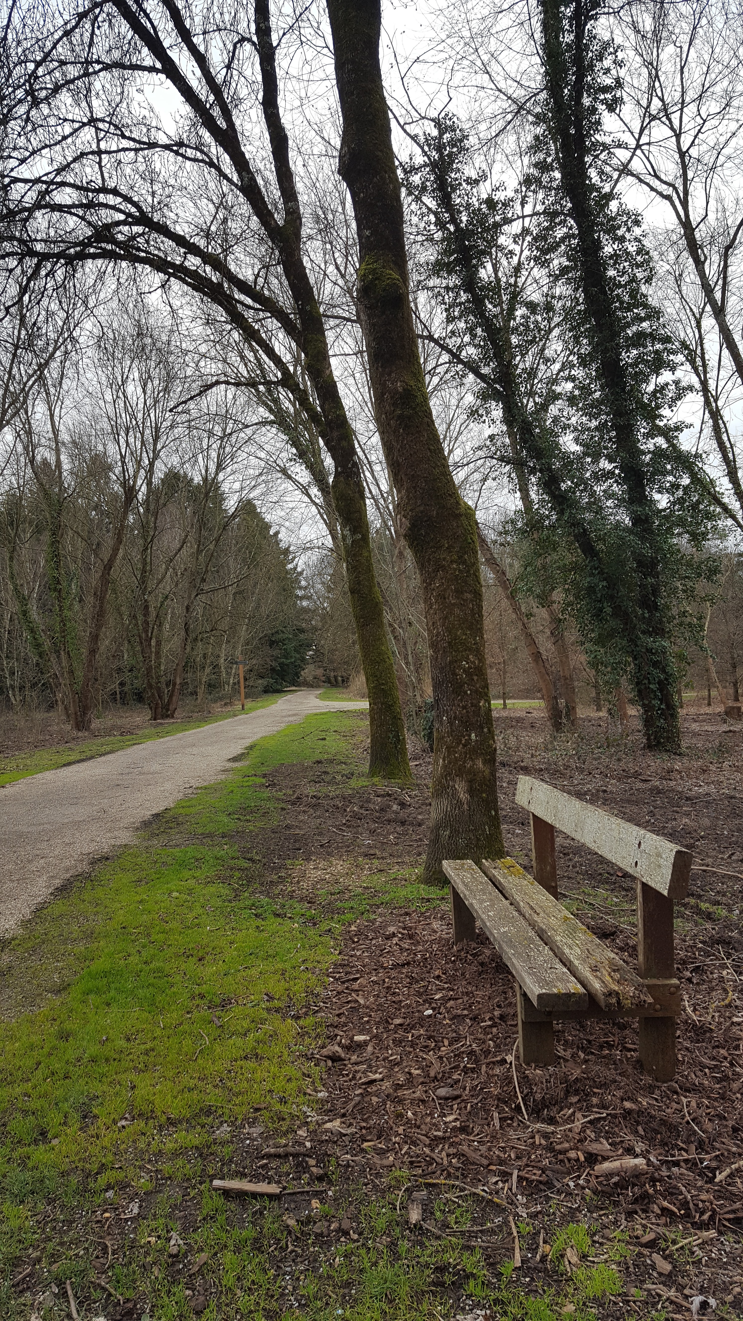 Photo n° 1 de l'avis de Caroline.. fait le 09/02/2019 à 14:51
