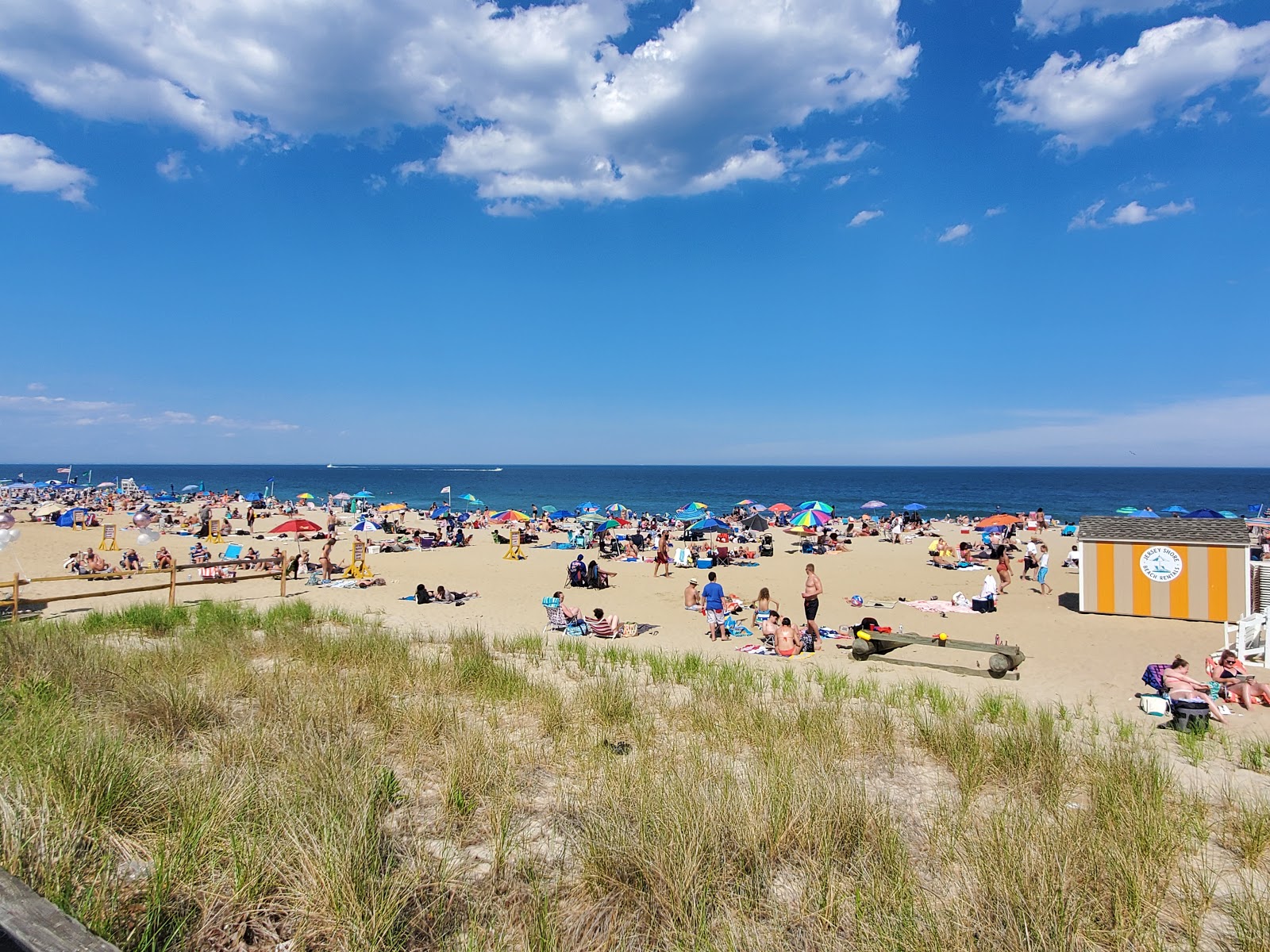 Long Branch Beach on the map with photos and reviews