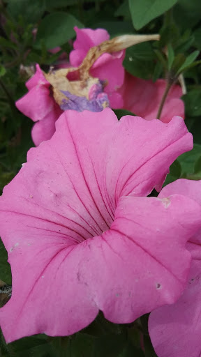 Home Improvement Store «The Home Depot», reviews and photos, 1255 Ten Rod Rd, North Kingstown, RI 02852, USA