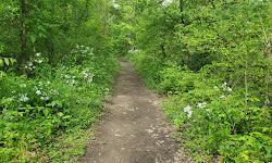 Caperton Swamp Park