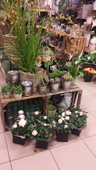 Blomstershoppen