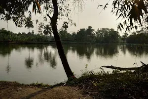 Naskar pukur (Pond) পাশ পুকুর image