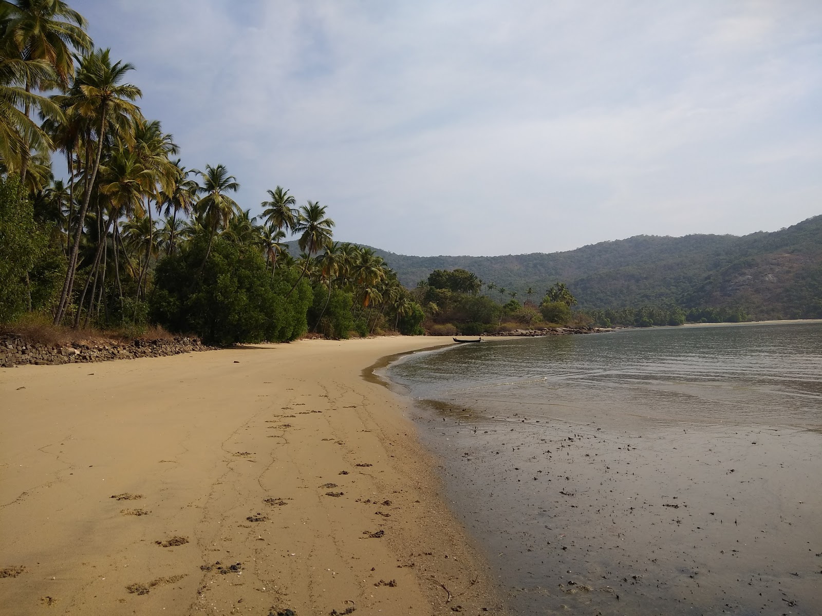 Photo de Kamal Jungle beach zone sauvage