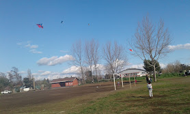 Canchas Monte Cea