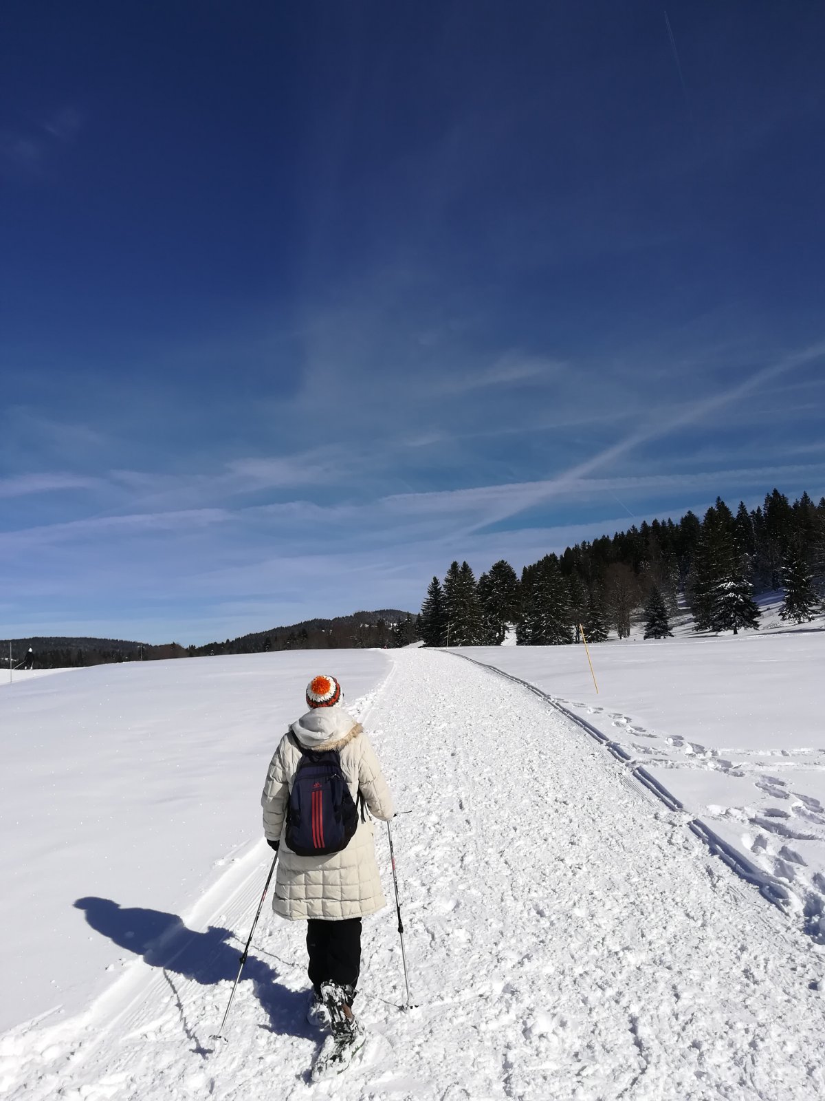 Photo n° 3 de l'avis de paisajes,.i fait le 08/03/2020 à 23:01