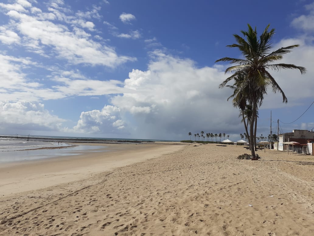 Praia de Maxaranguape photo #8