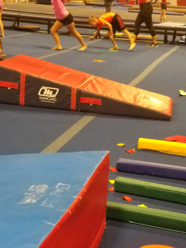 Gymnastics Center «Gold Medal Gymnastics», reviews and photos, 455 E Warner Rd, Chandler, AZ 85225, USA