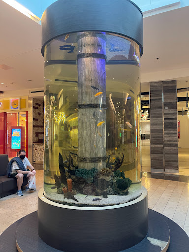 Shopping Mall «Westfield Annapolis», reviews and photos, 2002 Annapolis Mall Rd, Annapolis, MD 21401, USA