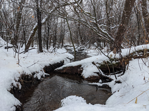 Nature Preserve «Volo Bog», reviews and photos, 28478 W Brandenburg Rd, Ingleside, IL 60041, USA