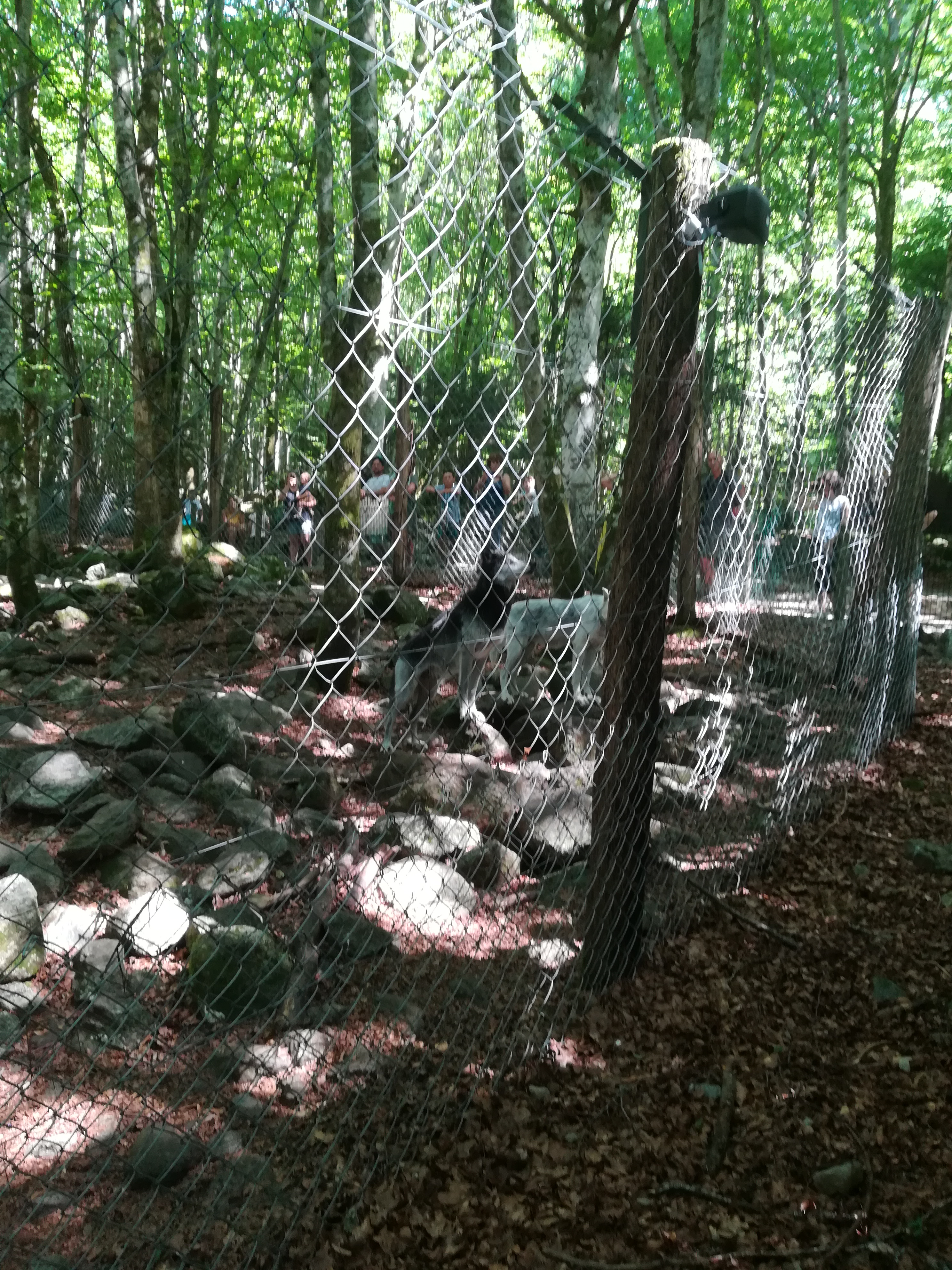 Photo n° 19 de l'avis de Audrey.� fait le 28/07/2017 à 17:11