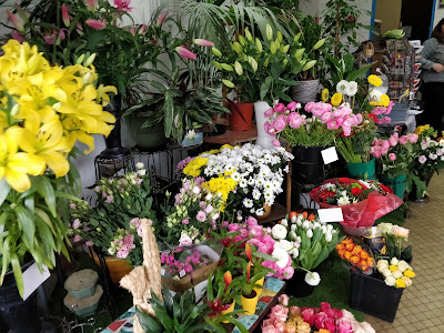 Le paradis des fleurs à Cannes
