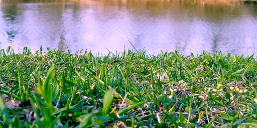 Park «Corwin M Nixon Park», reviews and photos, 6249 Mason Montgomery Rd, Mason, OH 45040, USA