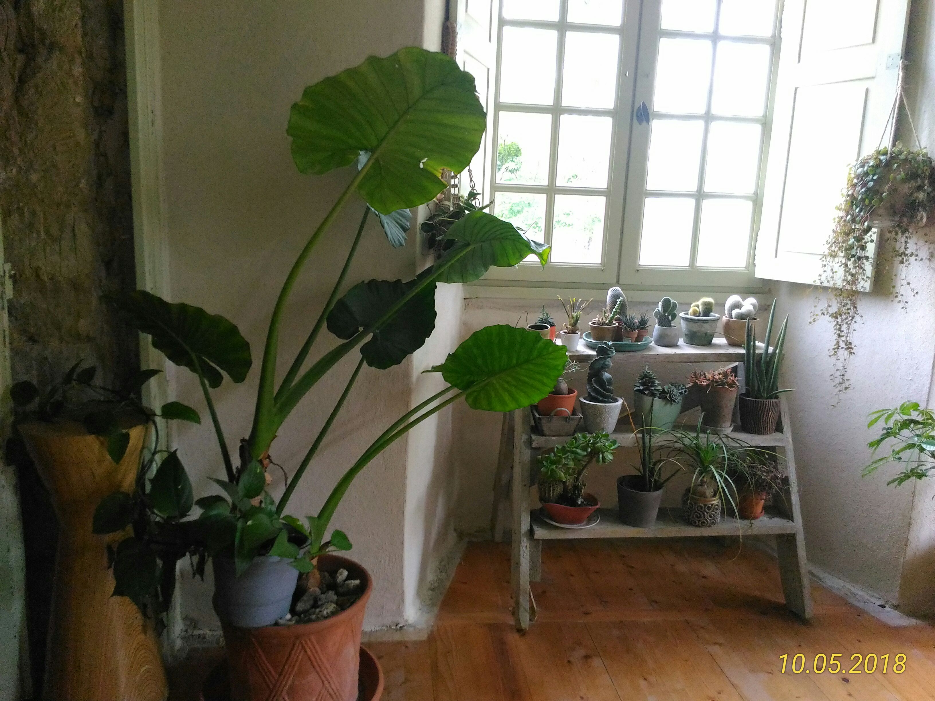 Photo n° 22 de l'avis de Marie.a fait le 13/05/2018 à 06:32