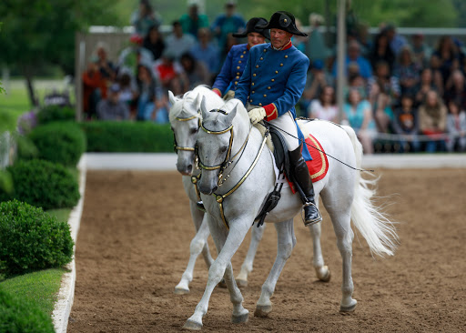 Tourist Attraction «The Tempel Lipizzans», reviews and photos, 17000 W Wadsworth Rd, Old Mill Creek, IL 60083, USA