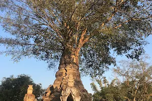 Little Bagan image
