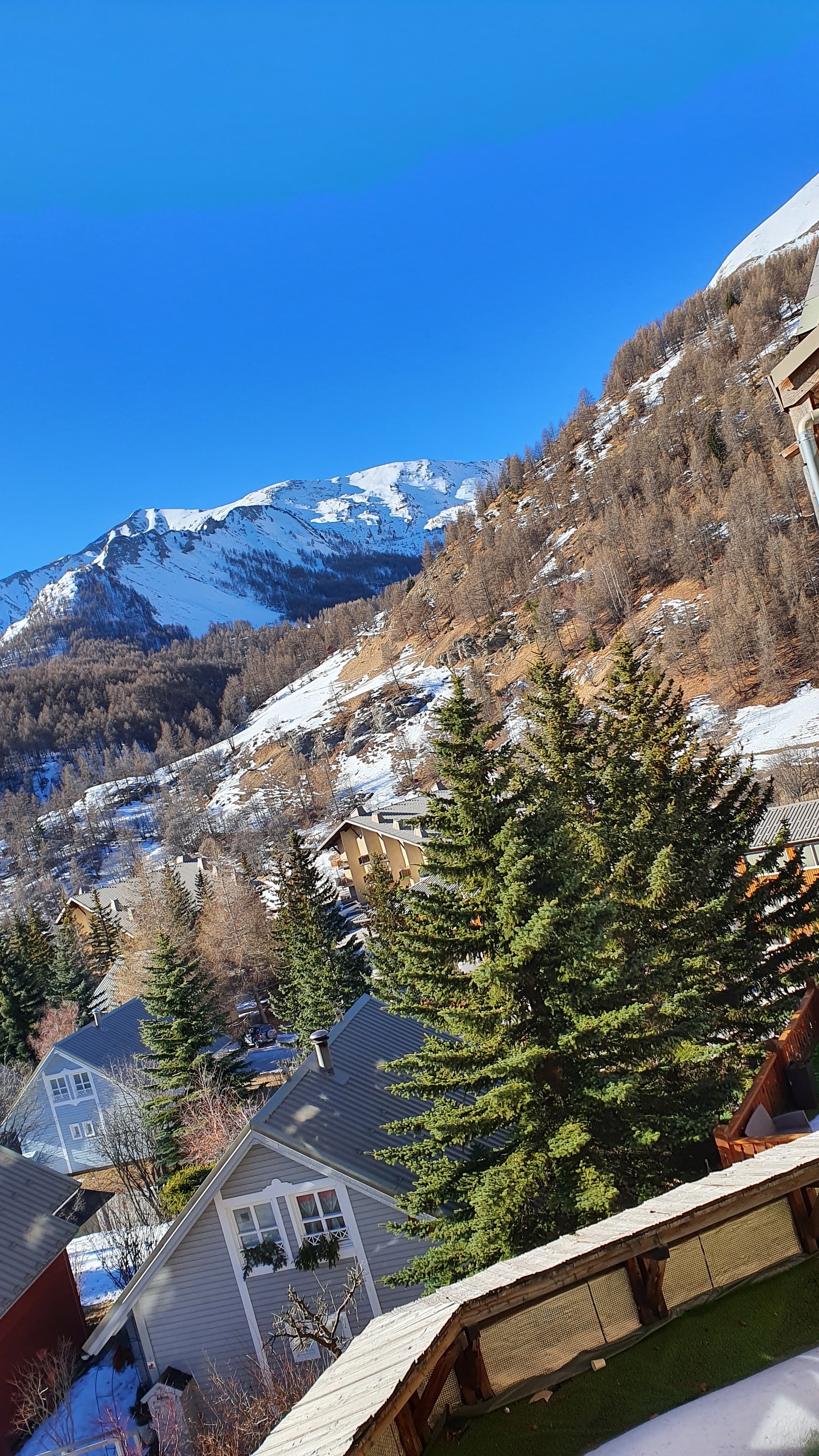 Photo n° 1 de l'avis de Sorin.a fait le 25/01/2022 à 14:35