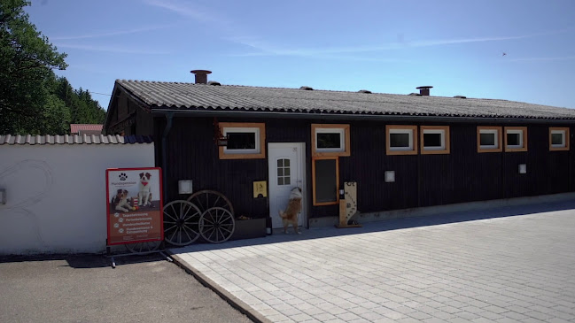 Upper Rock Ranch Hundepension Hundeschule Wellness Fitness - Baden