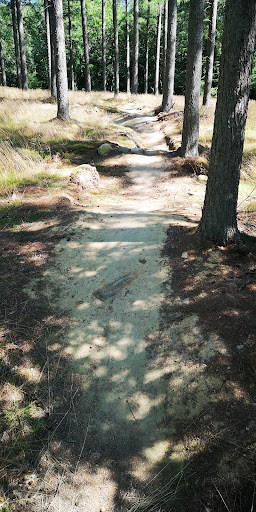 Vestermarie MTB Trailhead in Rønne, Bornholm