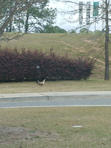 Tourist Information Center «Dublin-Laurens Tourism Council», reviews and photos, 102 Travel Center Blvd, Dublin, GA 31021, USA