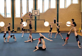 Falcon Gymnastics Club - Bedford