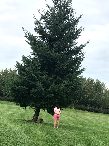 Park «Overpeck County Park», reviews and photos, 40 Fort Lee Rd, Leonia, NJ 07605, USA